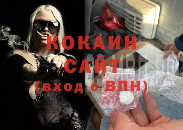 соль ск Алексин