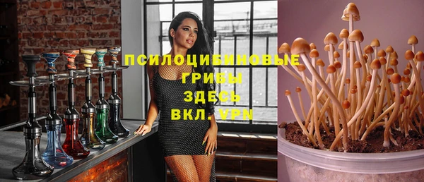 мет Алексеевка