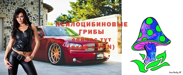 а пвп мука Алзамай