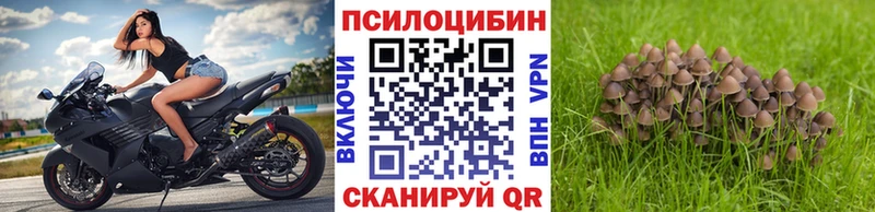 Галлюциногенные грибы Psilocybine cubensis  как найти наркотики  Дедовск 